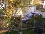 Walter 08.07.08-02.01.200985